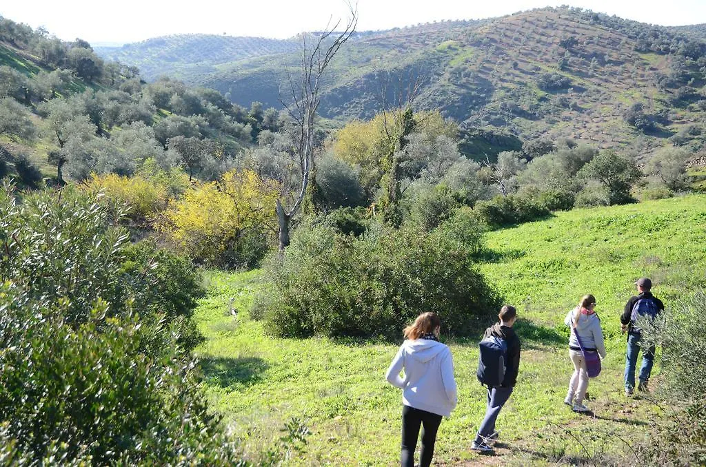 Pensión Olivetum Colina Hotel Montoro